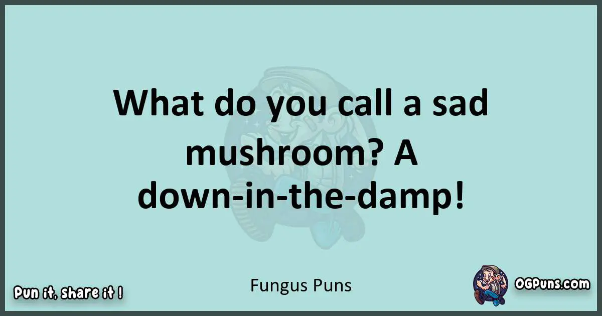 Text of a short pun with Fungus puns
