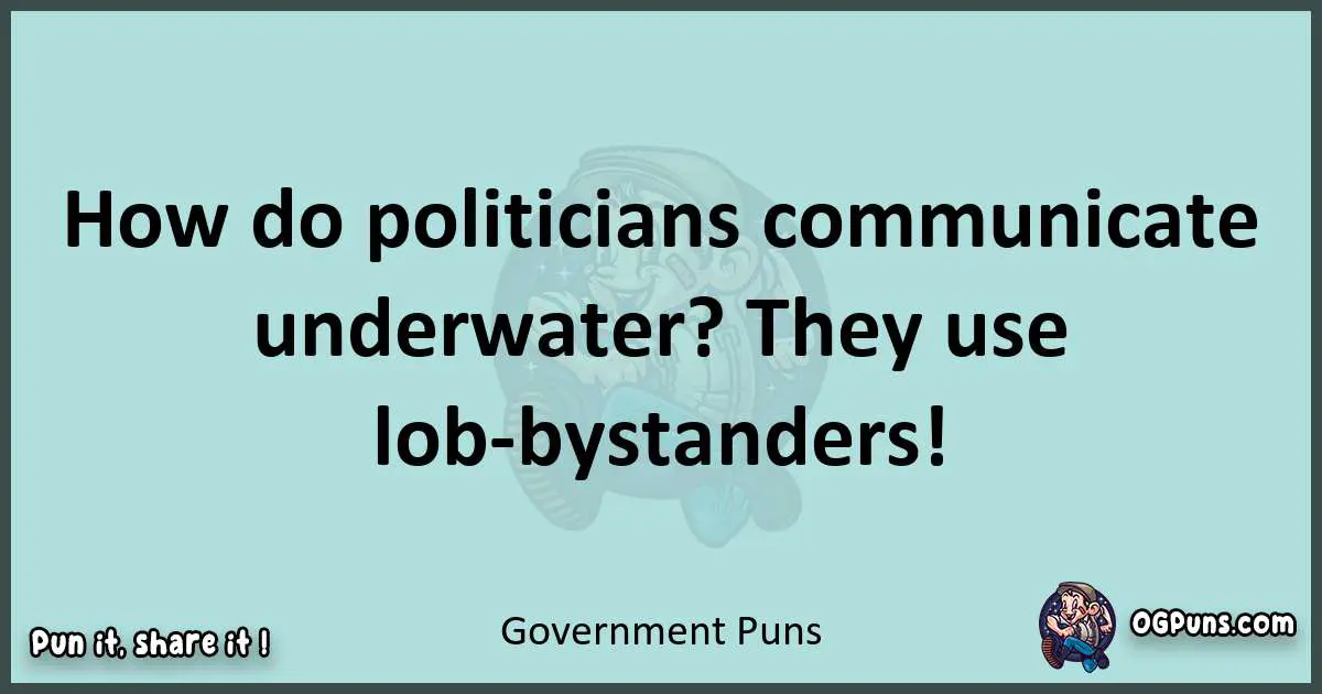 Text of a short pun with Government puns