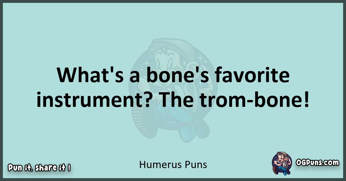 Text of a short pun with Humerus puns