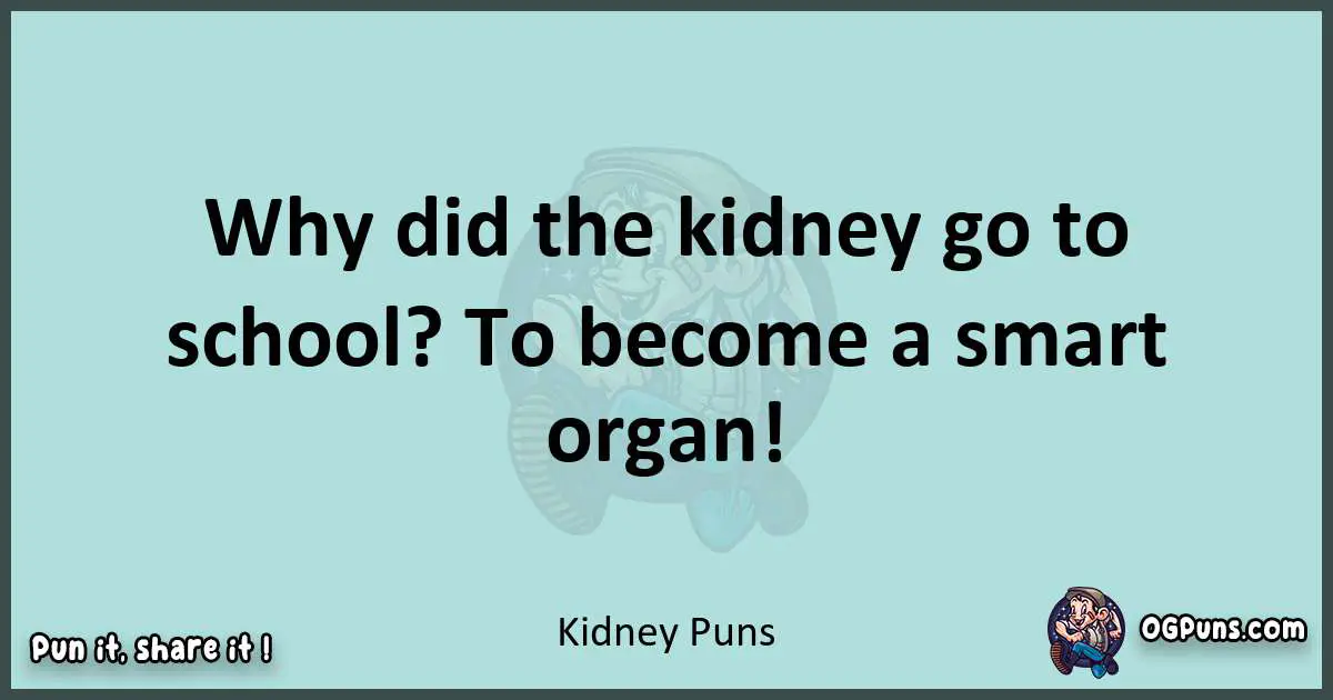 Text of a short pun with Kidney puns