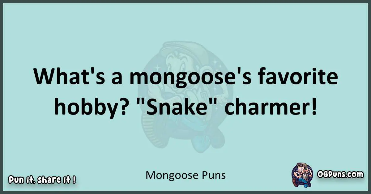 Text of a short pun with Mongoose puns