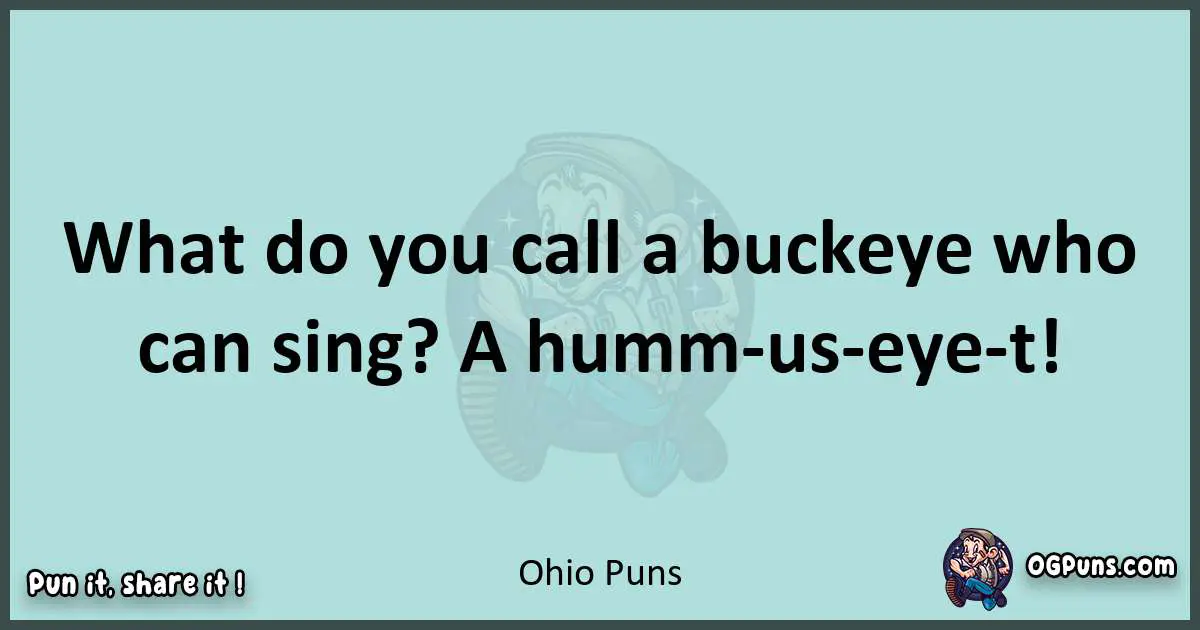 Text of a short pun with Ohio puns