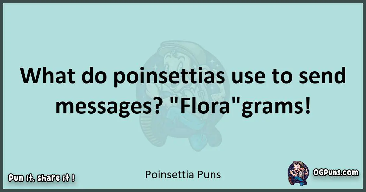 Text of a short pun with Poinsettia puns