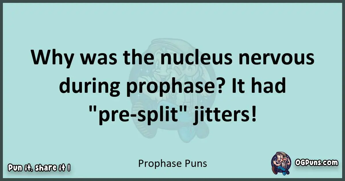 Text of a short pun with Prophase puns