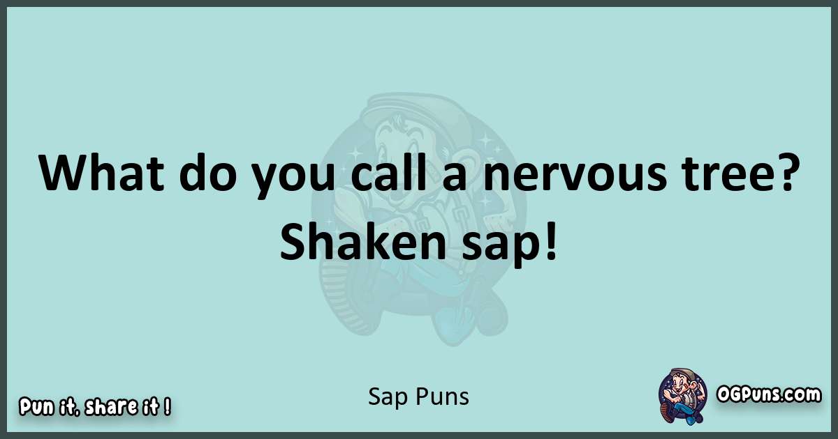 Text of a short pun with Sap puns