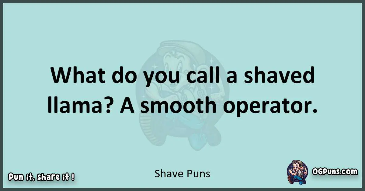 Text of a short pun with Shave puns