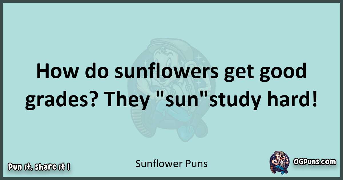Text of a short pun with Sunflower puns
