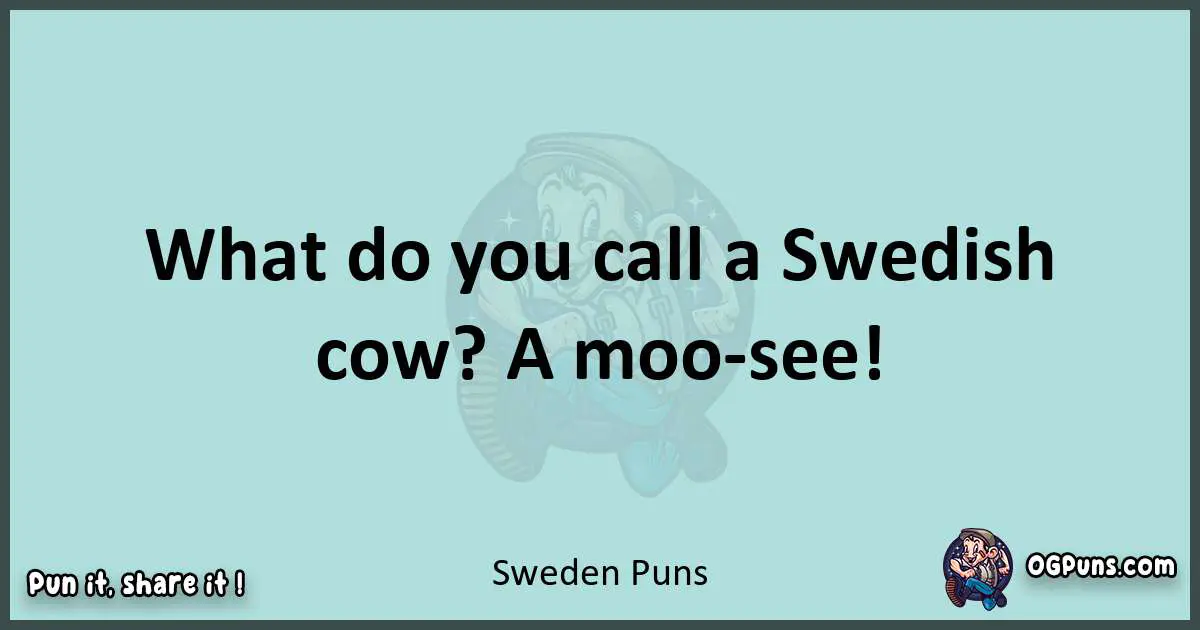 Text of a short pun with Sweden puns
