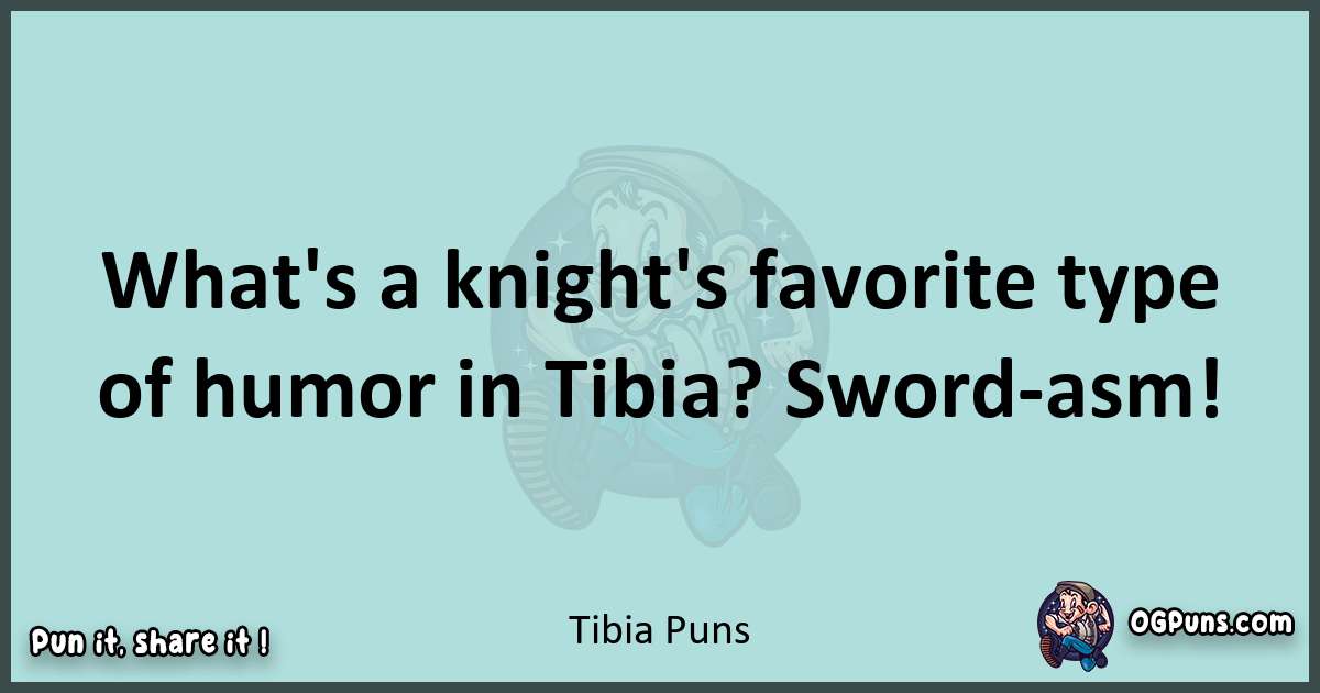 Text of a short pun with Tibia puns