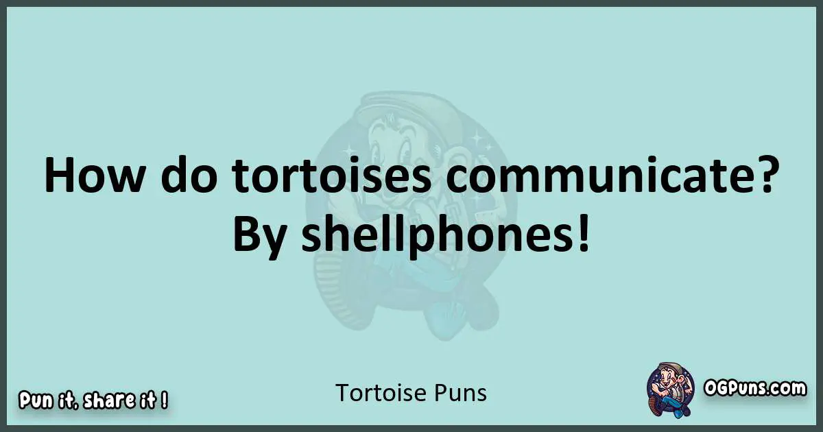 Text of a short pun with Tortoise puns