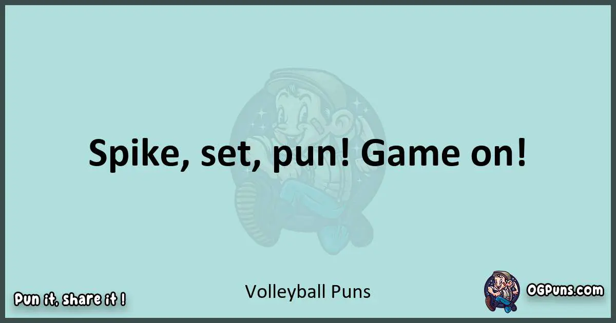 Text of a short pun with Volleyball puns